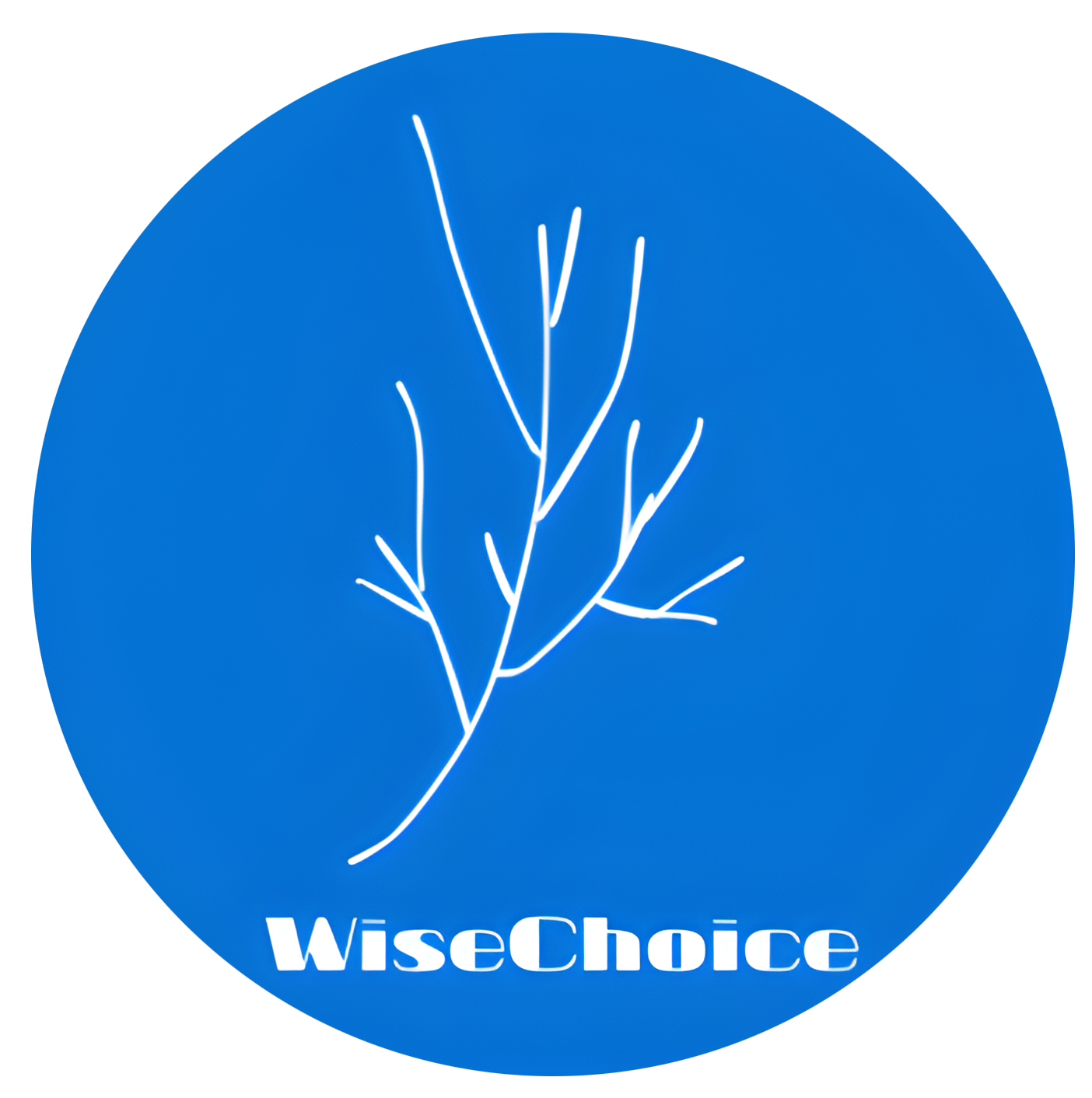 WiseChoice Logo